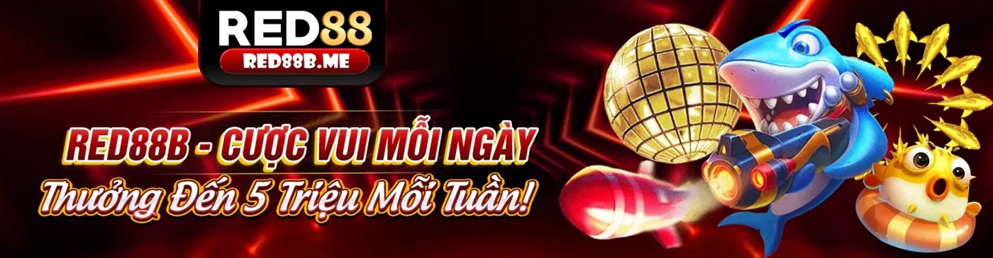 Hình ảnh chiến lược cá cược trực tuyến Debet khuyến mãi