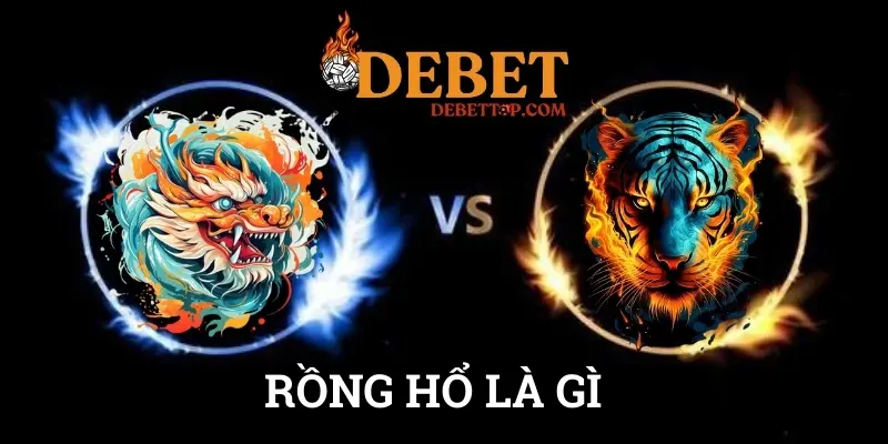 Review Rồng Hổ